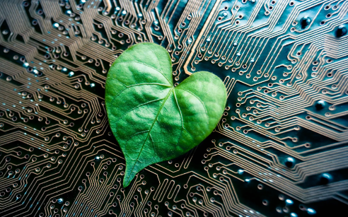 Eco-Friendly Technology Trends